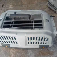 باکس گربه