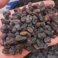 کشمش تاکستان|خوردنی و آشامیدنی|تاکستان, |دیوار