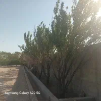 باغچه 100متری نقلی چهار دیواری با در ماشین رو