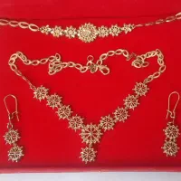 سرویس بدلیجات رنگ ثابت