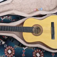 گیتار نو همراه با هارد باکس|گیتار، بیس، امپلیفایر|دورود, |دیوار