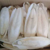 کف دریا سالم دورشت|آرایشی، بهداشتی، درمانی|بندرلنگه, |دیوار