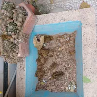 حوض سنگی کاملا سالم