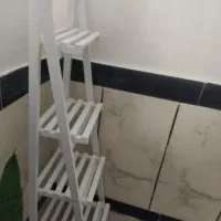 استندگل در حد نو