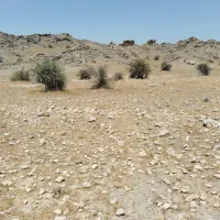 قشلاق  اجاره ای منطقه روستایی لاور شرقی