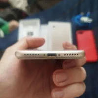 ایفون ۷ ۱۲۸گیگ|موبایل|تهران, شهرک دانشگاه|دیوار