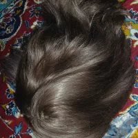 کلاگیس