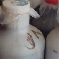 خیارشور تردفلفلی خوش طعم