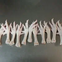 پای‌ مرغ درجه ۱ (انسانی) و درجه ۲ (حیوانی)