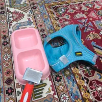 یک عدد قلاده کتفی نو