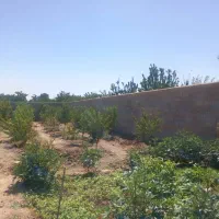 فروش باغ 640 متری در نجف آباد گلدشت قلعه سفید|فروش زمین و ملک کلنگی|نجف‌آباد, کشاورز|دیوار