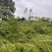 زمین به متراژ ۳۰۶ متر تک برگ سند با کاربری مسکونی