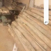 چوب سپیدار و تیر سقفی گردو و نوپان شما رو خریداریم|خدمات باغبانی و درختکاری|اسفراین, |دیوار