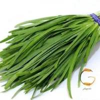 پیازچه خشک  و تازه|خوردنی و آشامیدنی|قم, حاج خلیل|دیوار