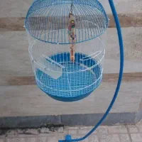 قفس پرنده