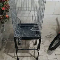 قفس
