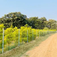 فروش-زمین-300-متری-کنار-مجموعه-بومگردی