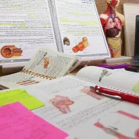 تدریس خصوصی زیست و شیمی دبیرستان