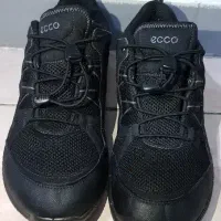 کتانی و کفش کوهنوردی ecco