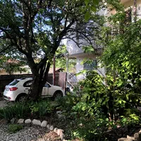 ویلا یک خوابه سرسبز