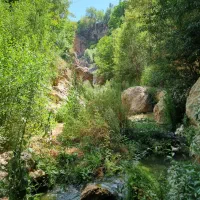 طبیعت گردی