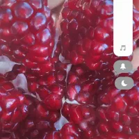 رب انار ،آب انار ،ناردونه سفیدوقرمز کوهمره سرخی