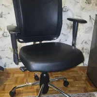 صندلی کامپیوتر نیلپر نو نو نو