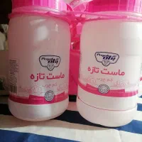 ظرف ماست