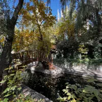 اجاره کلبه چوبی|اجارهٔ کوتاه‌مدت ویلا و باغ|هشتگرد, کوشک زر|دیوار