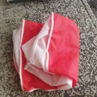 قفس پرنده