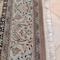 قالی سلیمان ۱۲متری ۵۰۰شانه|فرش|گرگان, |دیوار