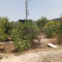 باغ-300متری-چهاردیواری-در-شهریار-دهشاد-پایین
