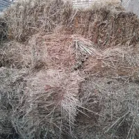 یونجه|لوازم جانبی حیوانات|خوی, |دیوار