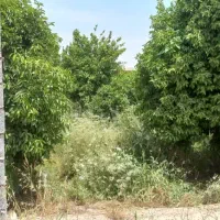 مهرشهر-دونبش-فاز-2