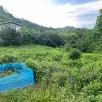۴۲۰متر زمین ویلایی کوهپایه ای در روستای سواکش