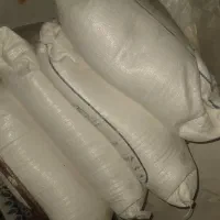 ارد مسجدسلیمان