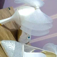 کیف و کفش مجلسی نو