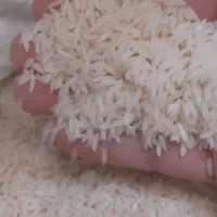 برنج اعلای صفربوجار کشت دوم