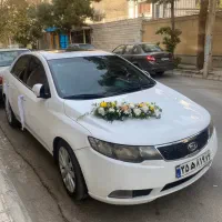 راننده شخصی / ماشین عروس