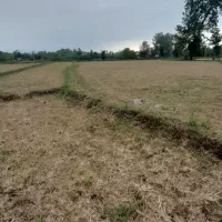 زمین-کشاورزی-در-سنگر