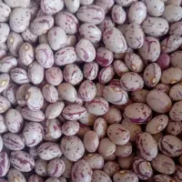 فروش و خرید