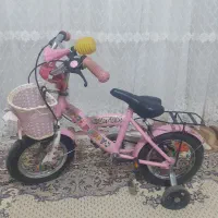 دوچرخه ۱۲صورتی