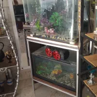 دو عدد اکواریوم کاملا سالم و فعال|ماهی|رباطکریم, رباطکریم|دیوار