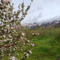 راهنمایی کنید