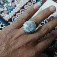 شجر|جواهرات|سبزوار, پیروزی|دیوار