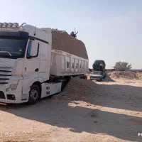 باگاس نیشکر|حیوانات مزرعه|کیش, |دیوار