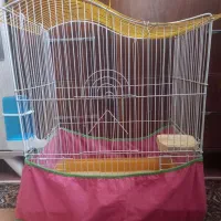 قفس و کیف پرنده