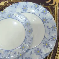 آرکوپال امارات فقط پشقاب میوه خوری