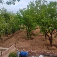 فروش-و-یا-معاوضه-باغ-با-خودرو