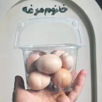 ادمین اینستاگرام حضوری